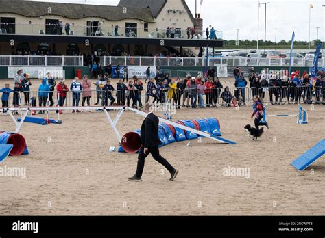 calendrier agility 2023|championnat du monde agility 2023.